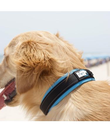 Black Rhino Comfort Collar | Super Soft Neoprene Dog Collar for All Breeds | Adjustable Reflective & Weatherproof - Large (Sports Blue/Gray) - Buy Online on GoSupps.com