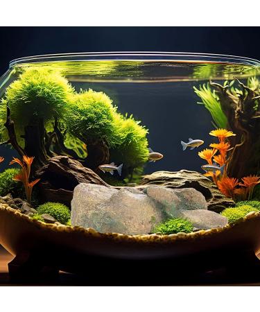 Ctpeng Aquarium Decoration Stone - Natural Look Decorative Rock & Hiding Place (25cm 13cm 7cm Resin) - Ideal Aquarium Accessories - Buy Online on GoSupps.com