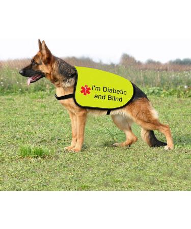Funny Nervous Dog Jacket Vest Nervous of Dogs But Loves People Dog Slogan Vest Friendly Dog Gift (Diabetic and Blind-Large) - Buy Online on GoSupps.com