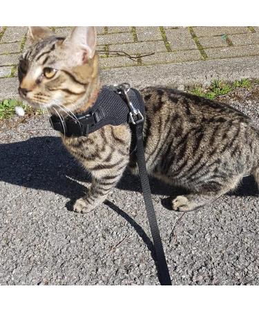 Bingpet Adjustable Cat Dishes & Soft Network Holster for Small Kittens - X-Large | International Shipping Available - Buy Online on GoSupps.com