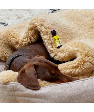 Rescue Pet Calming Dropper 10ml - Natural Flower Essences for Dogs & Cats | Separation, Fireworks, Travel, Thunder & Loud Noises Relief - Buy Online on GoSupps.com