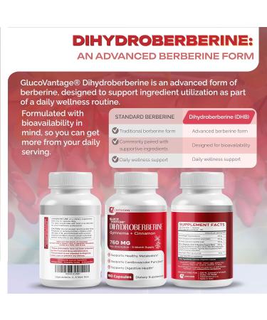 Dihydroberberine - GlucoVantage - Super Berberine 760 MG with Cinnamon Gymnema Fenugreek - Maximum Absorption - Support Gut Health Metabolism - Non GMO Gluten Free 150 count (pack of 1) - Buy Online on GoSupps.com