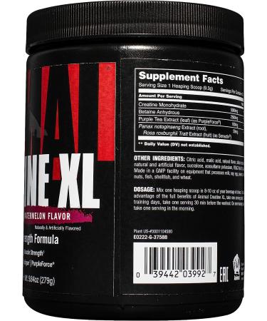 Animal Creatine XL Powder with PurpleForce & Senactiv - Enhanced Creatine Monohydrate Supplement for Endurance and Recovery - Watermelon Flavor - 9.84 oz - Buy Online on GoSupps.com