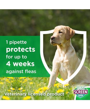 FLEA SCREEN Combo for Medium Dogs (3 Pipettes) - 12 Weeks Protection from Fleas, Eggs & Ticks - Effective Flea Treatment (10-20kg) - Buy Online on GoSupps.com
