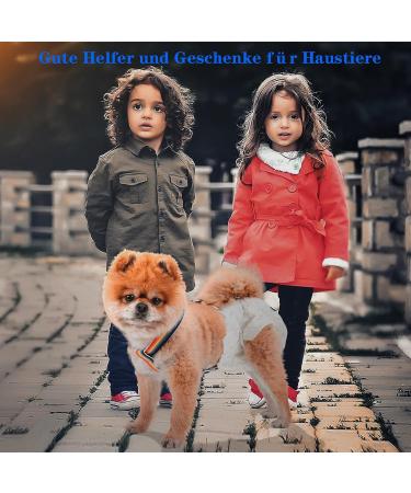 Buy 2-Piece Dog Diaper Trousers & Harness - XL Rainbow & Blue for Female Dogs | Pet Clothing & Belly Straps - Buy Online on GoSupps.com