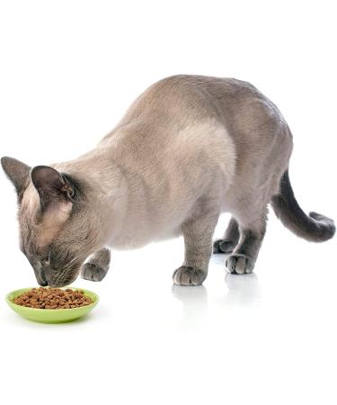 PetRageous Silly Kitty Cat Saucer and Bowl - Fun & Functional Dining Set for Cats - Buy Online on GoSupps.com