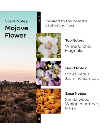 Mojave Flower Eau de Parfum for Women Notes of Magnolia Sandalwood & Musk Safe for Sensitive Skin Luxury Fragrance By Modern Memory 2.5 fl oz - Buy Online on GoSupps.com