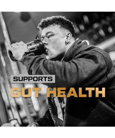 HOSSTILE Glutamine Fermented L Glutamine Powder for Men & Women Enhance Muscle Recovery Support Protein Synthesis Post Workout Recovery Drink Unflavored 60 Servings - Buy Online on GoSupps.com