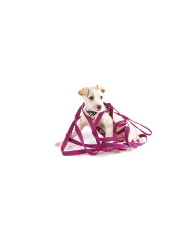 IDC Color & Gray rubberized leash 20 mm x 10 m with loop pink-gray Pink-gray 20 mm x 10 m (with loop)