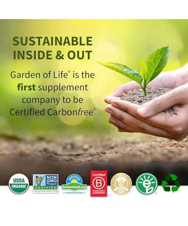 Organic Vegan Protein Powder with OatMilk - 20g Plant Based Protein  Coconut Water  MCTs  Sprouted Grains  Prebiotics & Probiotics - Gluten-Free Chocolate Brownie Flavor  2 LBS - Buy Online on GoSupps.com