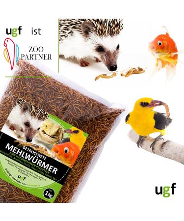 UGF Premium Dried Mealworms 1kg - Healthy Insect Snacks for Birds Reptiles & Small Pets - No Preservatives or Dyes - Buy Online on GoSupps.com