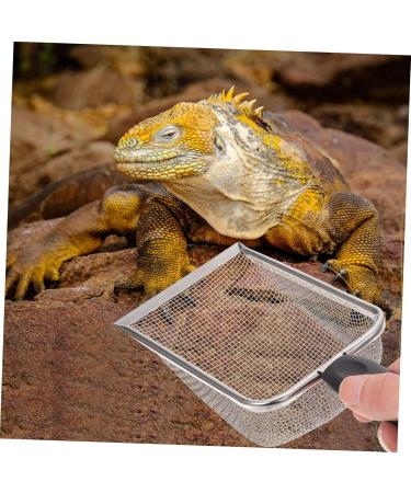 BESPORTBLE 2 Pcs Pet Cleaning Tools Shovel Fine Mesh Scoop Mats Scoops Pump Rat Cage Gear Cork Stainless Steel 27X10X5CMx2pcs Blackx2pcs - Buy Online on GoSupps.com