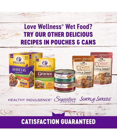 Wellness Complete Grain-Free Wet Cat Food - Salmon Sliced Cuts in Gravy, Natural & Healthy, 5.5oz (Pack of 24) - Buy Online on GoSupps.com