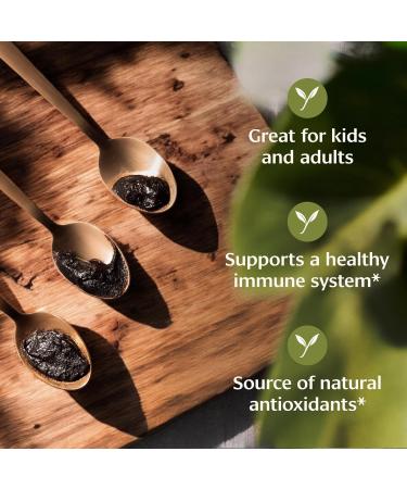 Organic Chyavanprash Ayurvedic Herbal Jam with Amla & Ashwagandha - Immune System & Body Rejuvenation - 17.6oz - Buy Online on GoSupps.com