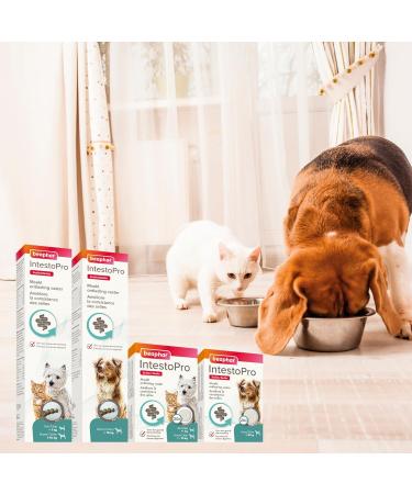 BEAPHAR IntestoPro Tablets to improve stool consistency Promotes Digestion Active Ingredient of Natural Origin for Dogs ( 20 kg) 20 tablets - Buy Online on GoSupps.com