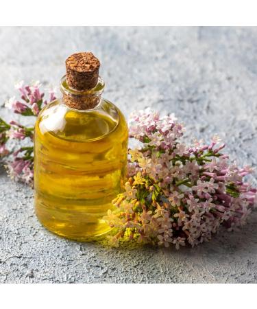Bulgaria Organic Valerian Essential Oil 5ml | for Sleep, Relaxation & Stress Relief | Therapeutic Grade Aromatherapy Oil - Buy Online on GoSupps.com