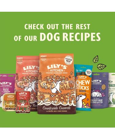 Lily's Kitchen Natural Adult Dog Food Wet Tins - Rest Up Recipe - Complete Meal Recipes (6 Tins x 400g) Recovery Recipe 400 g (Pack of 6) - Buy Online on GoSupps.com