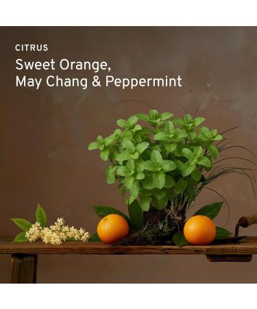 Cowshed Cr me Adoucissante pour Main - Buy Online on GoSupps.com