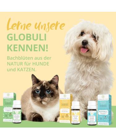 Buy Wolfsbacher Nature Fear-Free Bach Flowers for Dogs & Cats | 1200 Natural Calming Globules | Anti-Stress Remedy According to Dr. Bach | 10g - Buy Online on GoSupps.com
