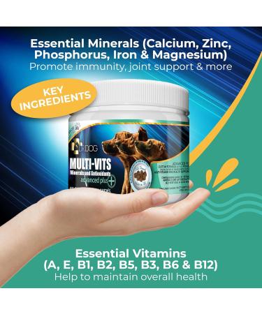 DR DOG Multivitamin for Dogs 60 Soft Chews - Essential Vitamins, Minerals & Antioxidants - Fussy Friendly & Tasty Treats - Made in UK - Buy Online on GoSupps.com