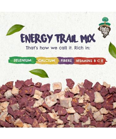 True Organic Brazil Nuts Roasted A ai Fruit Nibs Premium Snack Mix - 10 OZ | Floresta em P - Buy Online on GoSupps.com