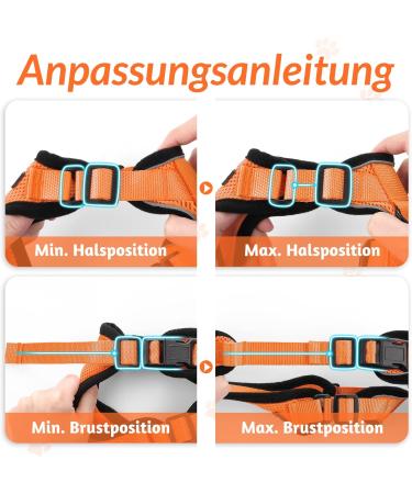 Buy Rabbitgoo Breakproof Cat Dishes & Adjustable Harness | Reflective Leash & Bowl for Cats Kittens & Small Dogs - Orange XS (1 Pack) - Buy Online on GoSupps.com