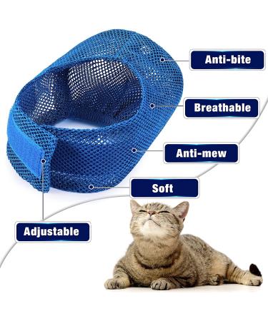 6-Piece Cat Bathing Kit with Grooming Bag, Muzzle, Nail Clipper, Trimmer, File, and Gloves - Buy Online on GoSupps.com