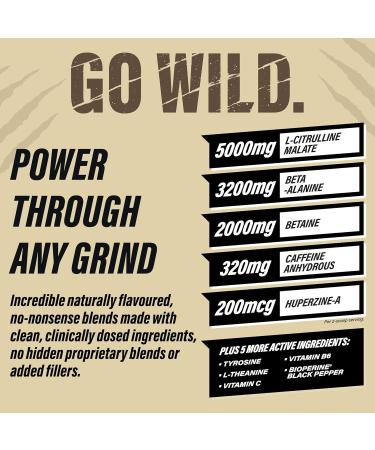GRIZZLY PRE-WORKOUT ARCTIC ICE Strength Power Focus Caffeine Citrulline Beta-Alanine Arctic Ice 340 g (Pack of 1) - Buy Online on GoSupps.com