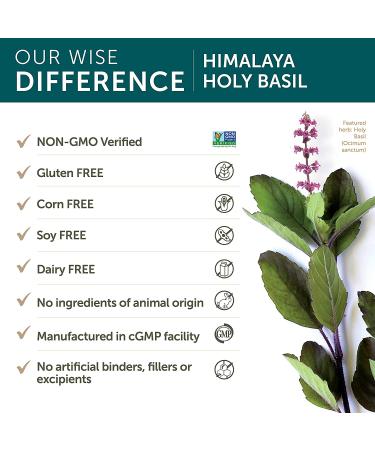 Himalaya Holy Basil - 60 Vegetarian Capsules for Stress Relief & Wellness - Buy Online on GoSupps.com