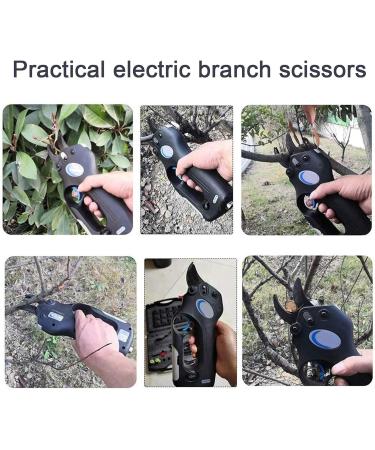 Electric Pruning Shears Cordless Electric Branch Cutter Scissors 30Mm Cutting Diameter Li-Battery Garden Rechargeable Fruit Tree Orchard Cutting Tool Black (Black) Small Gift - Buy Online on GoSupps.com