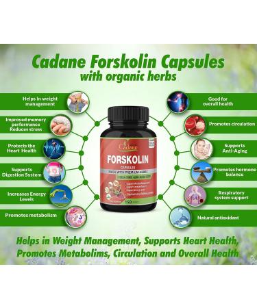 Forskolin Extract Capsules 5000mg - 5 Month Supply | With Turmeric, Arjuna, Garcinia Cambogia & Green Tea | Nourishing Diet Support and Energy Booster - Buy Online on GoSupps.com