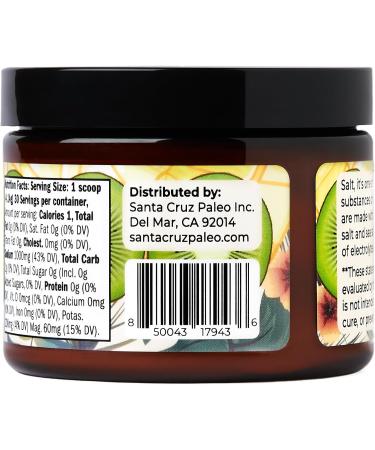 Santa Cruz Paleo Real Salt Electrolytes Powder Hydration Drink Mix Made with Himalayan Pink Salt 30 Servings - Kiwi Lemonade - 4.4 Oz - Buy Online on GoSupps.com