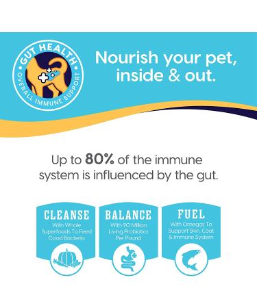 Solid Gold Mighty Mini Grain-Free Dog Food with Probiotics - Ideal for Small Breeds - Buy Online on GoSupps.com