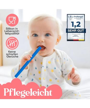 Bite Tube Set - 6 BPA-Free Silicone Dental Aids with 2 Cleaning Brushes for Baby Teething - Grayling & Violet Root Colors - Buy Online on GoSupps.com