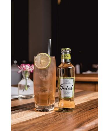  Britvic Britvic Ginger Ale 24 x 200 ml - Buy Online on GoSupps.com