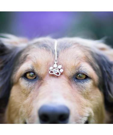 Glooraca Dog Projection Necklace with Personalised Photo Dog Paw Necklace Custom Photo Charm Projection Necklace Dog Paw Pendant Pet Memorial Necklace 1# - Buy Online on GoSupps.com