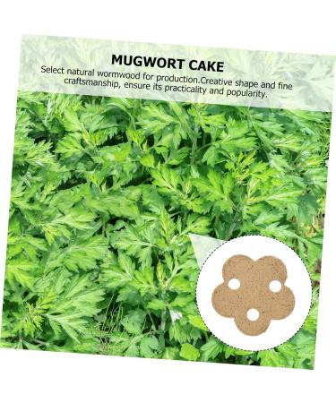 Buy Gatuida 60 STK Moxa Cake Moxibustion Care Tool & Chinese Acupuncture Mugwort Flower Shape for Hyperthermia Massage International Shipping Available - Buy Online on GoSupps.com