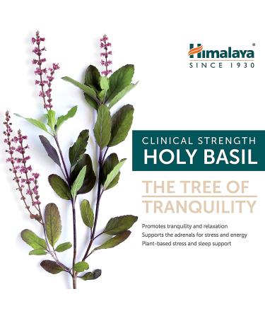 Himalaya Holy Basil - 60 Vegetarian Capsules for Stress Relief & Wellness - Buy Online on GoSupps.com