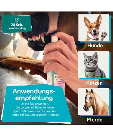 Powerpets Dental Spray & Free Finger Toothbrush for Dogs & Cats - 100% Natural Muzzle Tartar Remover & Tooth Cleaning Spray | Liver Sausage Flavor - Buy Online on GoSupps.com