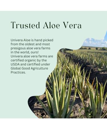 Univera Organic Aloe in the Raw - Gel for Deep Hydration - Soothes Sunburns Ideal for Dry Skin & Cooling After Sun - Natural Moisturizer - 4 fl oz - Buy Online on GoSupps.com