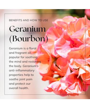 Nikura Geranium Essential Oil - 20ml (2 x 10ml) | 100% Pure Bourbon Geranium Oil for Sleep & Aromatherapy | UK Made | Ideal for Home, Candle-Making, Bath, Anxiety, Skin - Buy Online on GoSupps.com