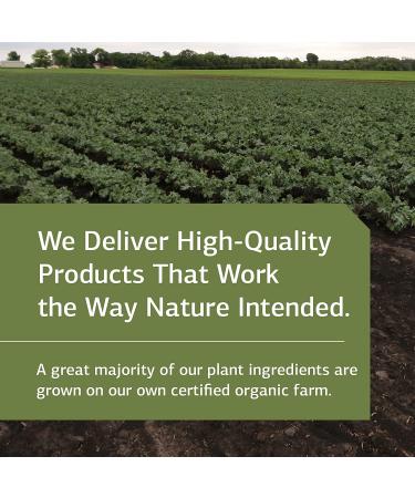 Standard Process Manganese B12 - Whole Food Hemoglobin, Antioxidant, Vitamin B12 - 90 Tablets - Buy Online on GoSupps.com