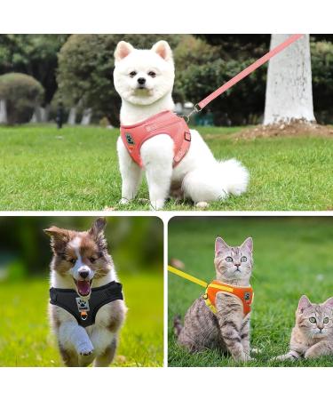 Adjustable Cat Leash Set with Reflective Vest for Kittens & Small Dogs - Polyester Black (Large) | International Shipping - Buy Online on GoSupps.com