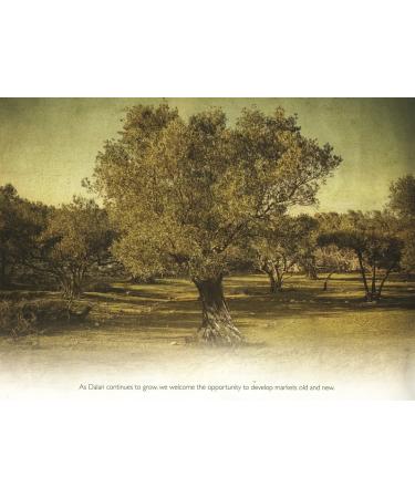 Buy Dalan 100% Pure Olive Oil Hair Conditioner - Repair Dry Damaged Hair & Prevent Split Ends - Paraben Silicon & PEG Free - 6.8 fl. oz - International Shipping Available - Buy Online on GoSupps.com