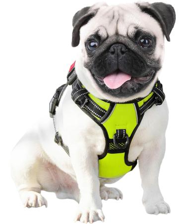 Phoepet Reflective Adjustable Dog Harness with Training Handle & ID Card - XS Green | Anti-Educational Easy Tightening - Buy Online on GoSupps.com