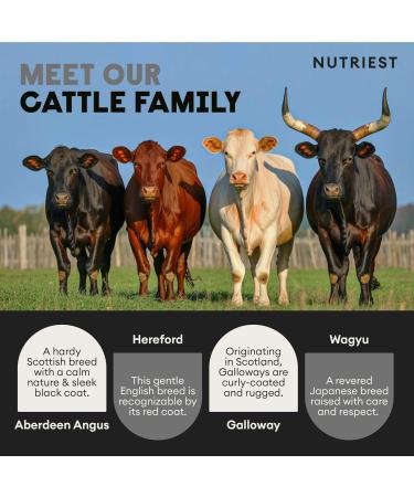  Nutriest Nutriest Colostrum Capsules (240 count) Organic Colostrum Powder | European Pasture Farming | 100% Grass-Fed | For Gut Health & Immune System | Contains 30% Active IgG (Immunoglobulin) - Buy Online on GoSupps.com