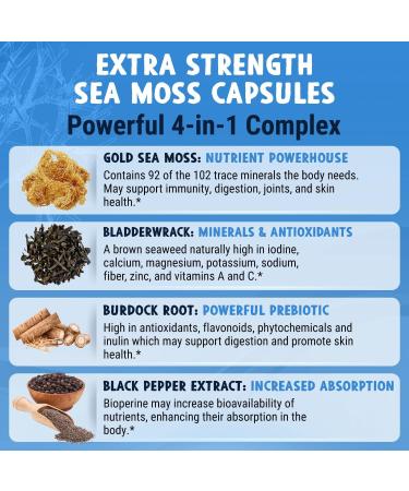 Maju Superfoods Mental Mushrooms Black Seed Oil and Sea Moss Capsules Bundle - Buy Online on GoSupps.com