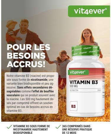 Vitamin B3 (Niacin) - 500 mg - 365 Tablets - High Dose Nicotinamide - Flushfree - No Additives - Vegan - Buy Online on GoSupps.com