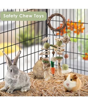 ERKOON Rabbit Hamster Hanging Chew Toys - Applewood Boredom Breaker with Grass Ball and Carrot Treats for Small Pets - Buy Online on GoSupps.com
