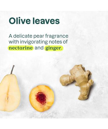 ATTITUDE Plastic-Free Deodorant EWG Verified Aluminum Free Vegan Naturally Sourced Body Deodorants for Women & Men Dermatologically Tested Olive Leaves 3 Ounces (Pack of 6) Olive Leaves 3 Ounce (Pack of 6) - Buy Online on GoSupps.com